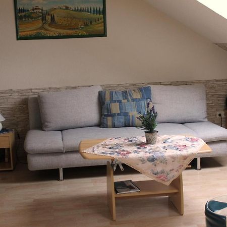 Apartment Laurence Hanau Zewnętrze zdjęcie