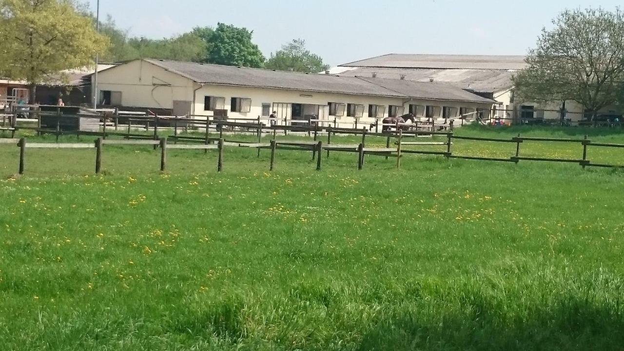 Apartment Laurence Hanau Zewnętrze zdjęcie